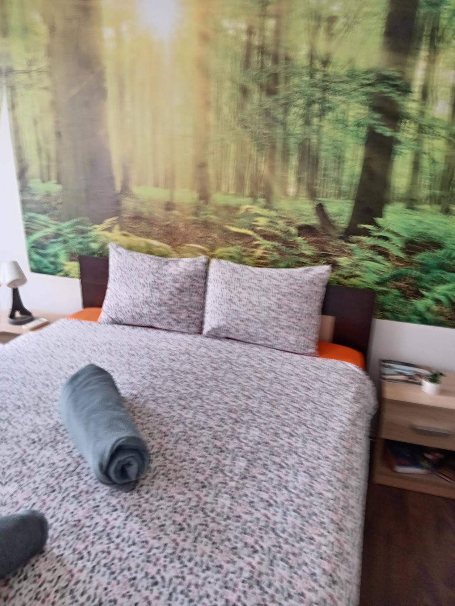 Car Lazar Apartment Beograd Ngoại thất bức ảnh